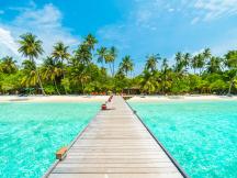 Une plage sous les tropiques