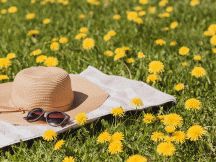 Un chapeau et des lunettes de soleil posés sur de l'herbe fleurie