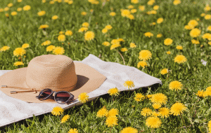 Un chapeau et des lunettes de soleil posés sur de l'herbe fleurie